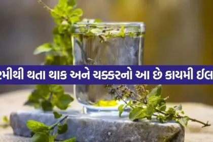 Tulsi water 0205