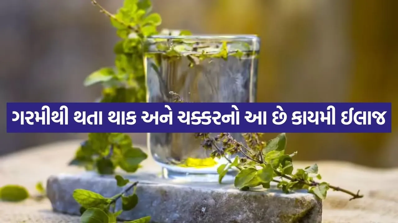 Tulsi water 0205.jpg