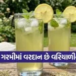 Fennel Sharbat