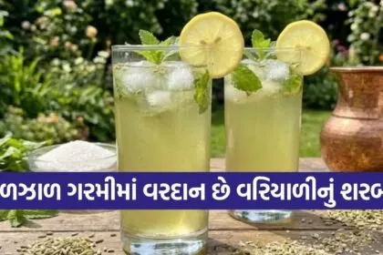 Fennel Sharbat