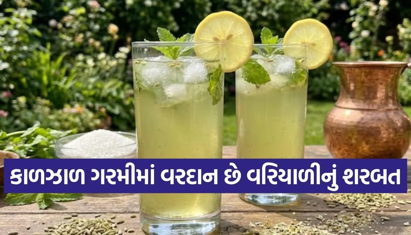 Fennel Sharbat