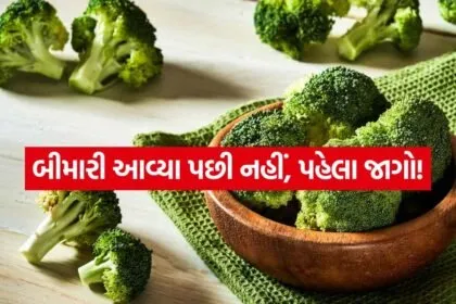 INDIA 1 2026 05 02T112741.812