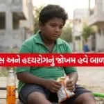 INDIA 1 2026 05 02T113902.337