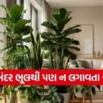 Vastu Tips