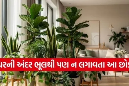Vastu Tips