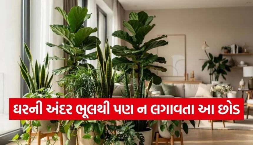 Vastu Tips