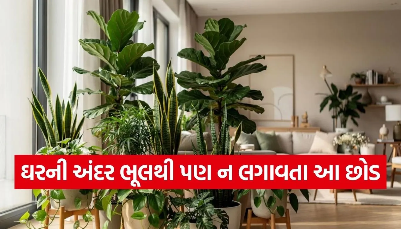 Vastu Tips
