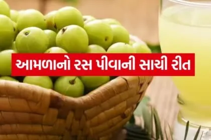 Amla Juice 0405