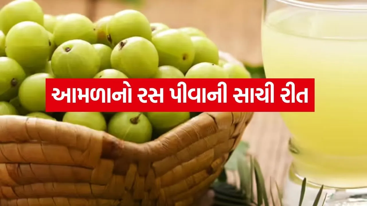 Amla Juice 0405.jpg