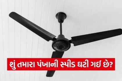Ceiling fan