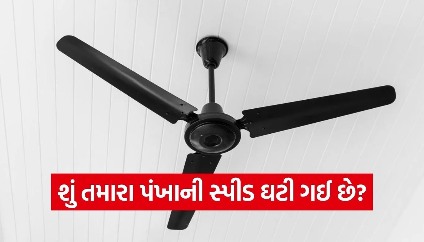 Ceiling fan