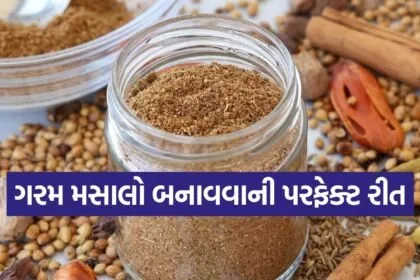 Homemade garam masala