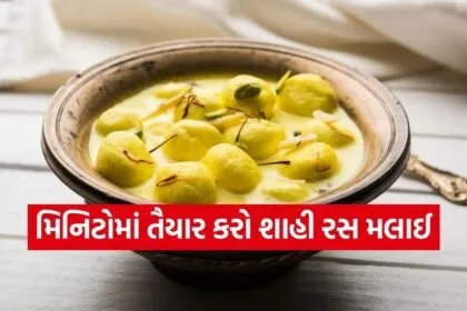 homemade rasmalai