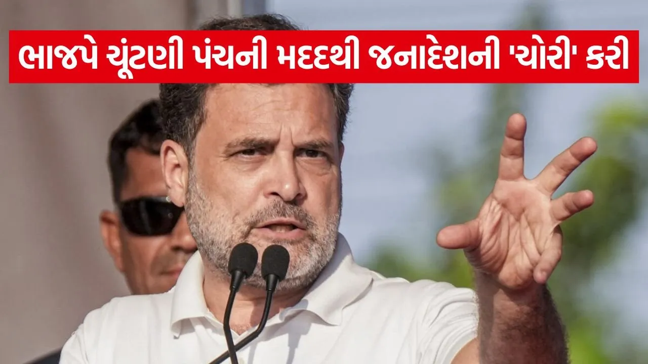 Rahul Gandhi 0505.jpg