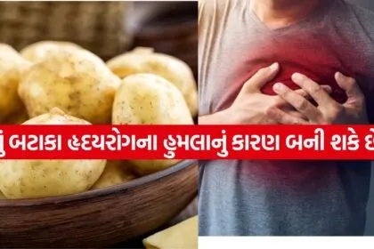 Potato 0405