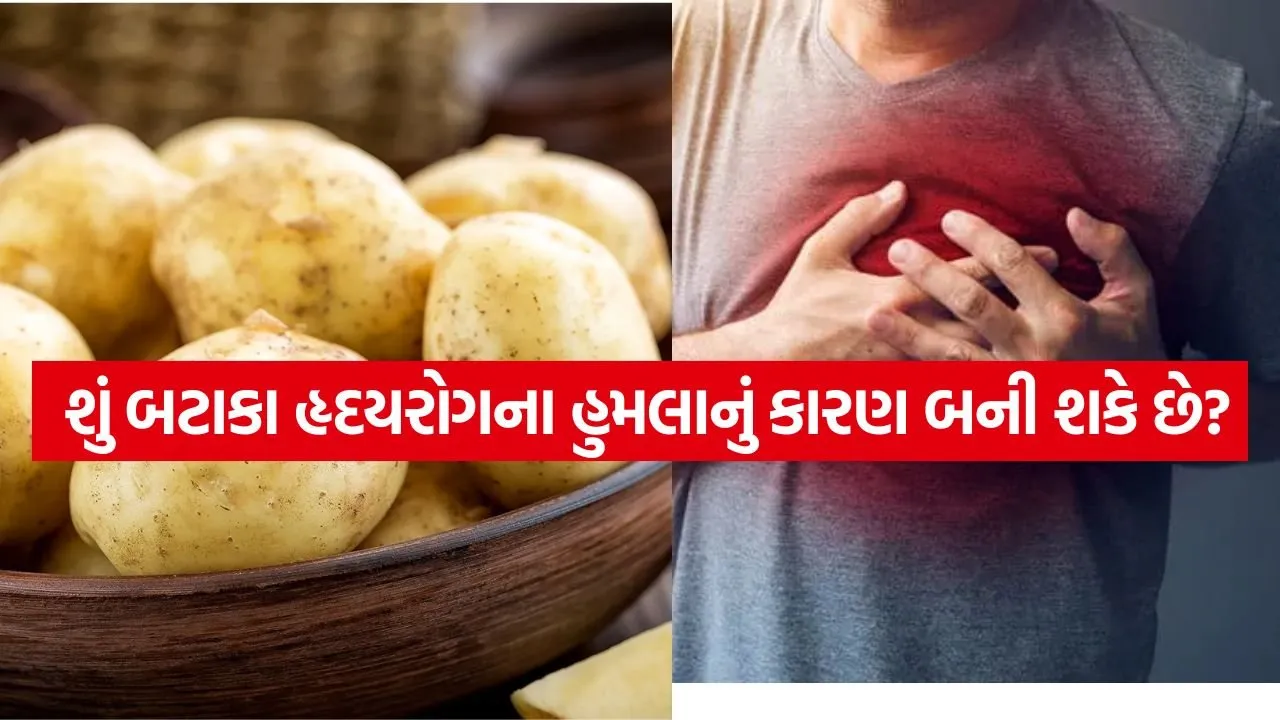 Potato 0405.jpg