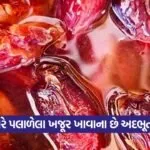 dharmishtha 1 64