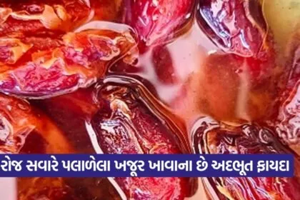 dharmishtha 1 64