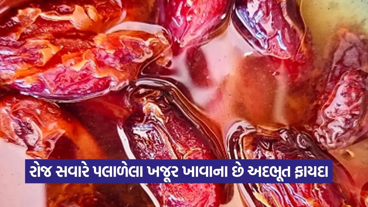 dharmishtha 1 64.jpg
