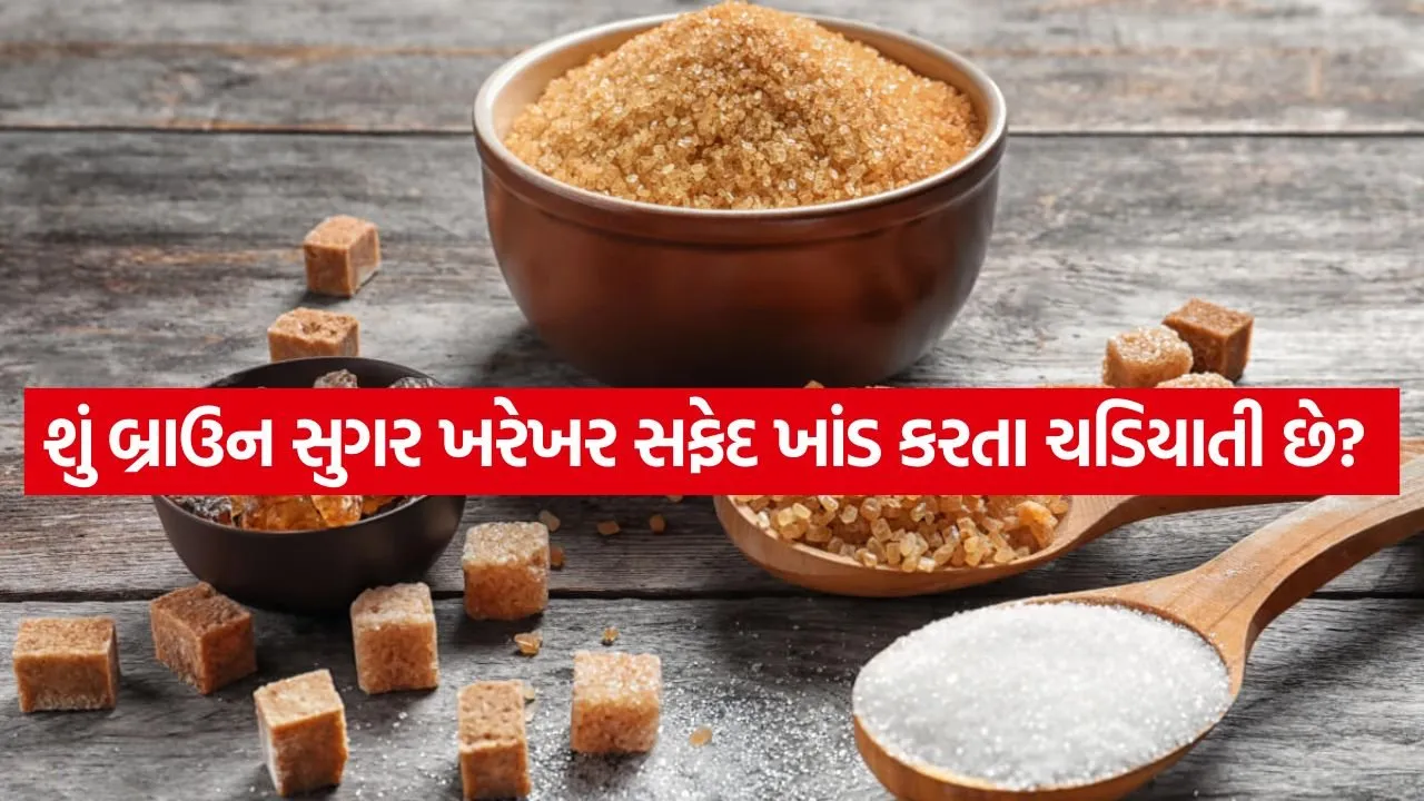 Sugar 0605.jpg