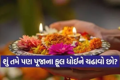 Puja Flowers