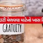 Gratuity 0605