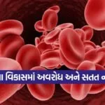 INDIA 1 2026 05 07T183958.894