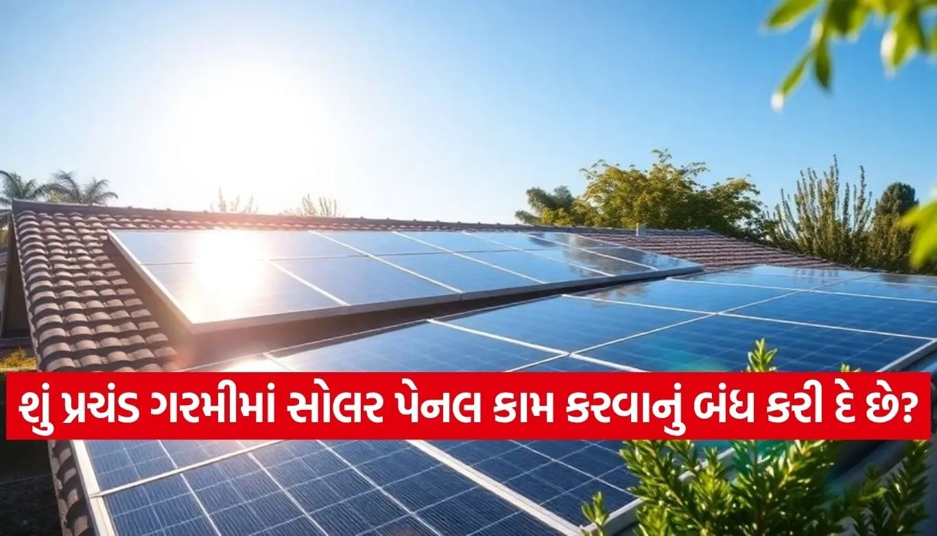 Solar Panel