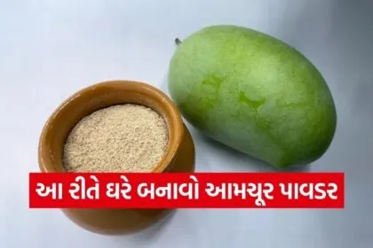Amchur Powder