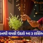 Tulsi Puja