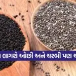 INDIA 1 2026 05 08T103714.431