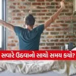 INDIA 1 2026 05 08T104321.824