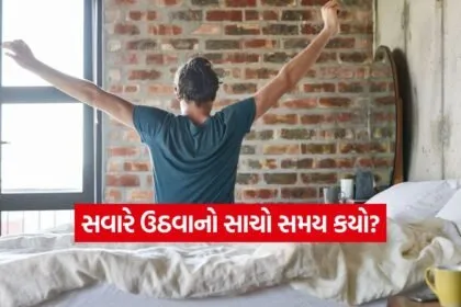 INDIA 1 2026 05 08T104321.824