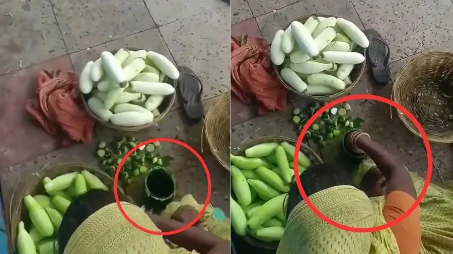 શું તમે પણ ટ્રેનમાં કાકડી ખાઓ છો? આ ખતરનાક સત્ય જાણીને તમે કાકડીને અડવાનું પણ છોડી દેશો 2 viral.jpg