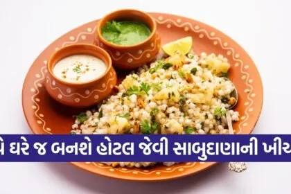 Sabudana Khichdi