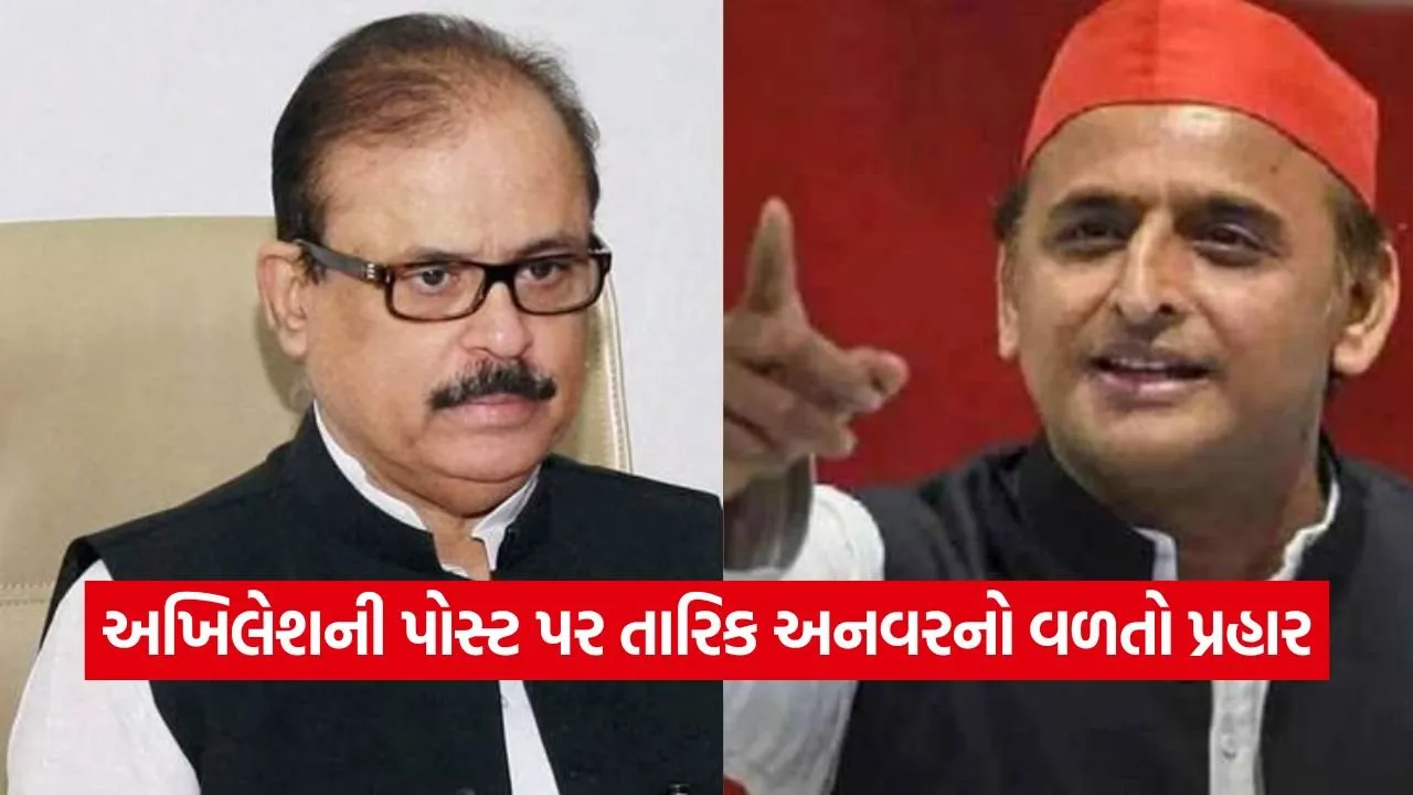 dharmishtha 1 23.jpg