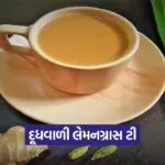 Dharmishtha 13