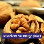 Dharmishtha 11