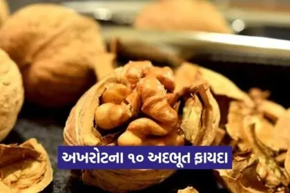 Dharmishtha 11