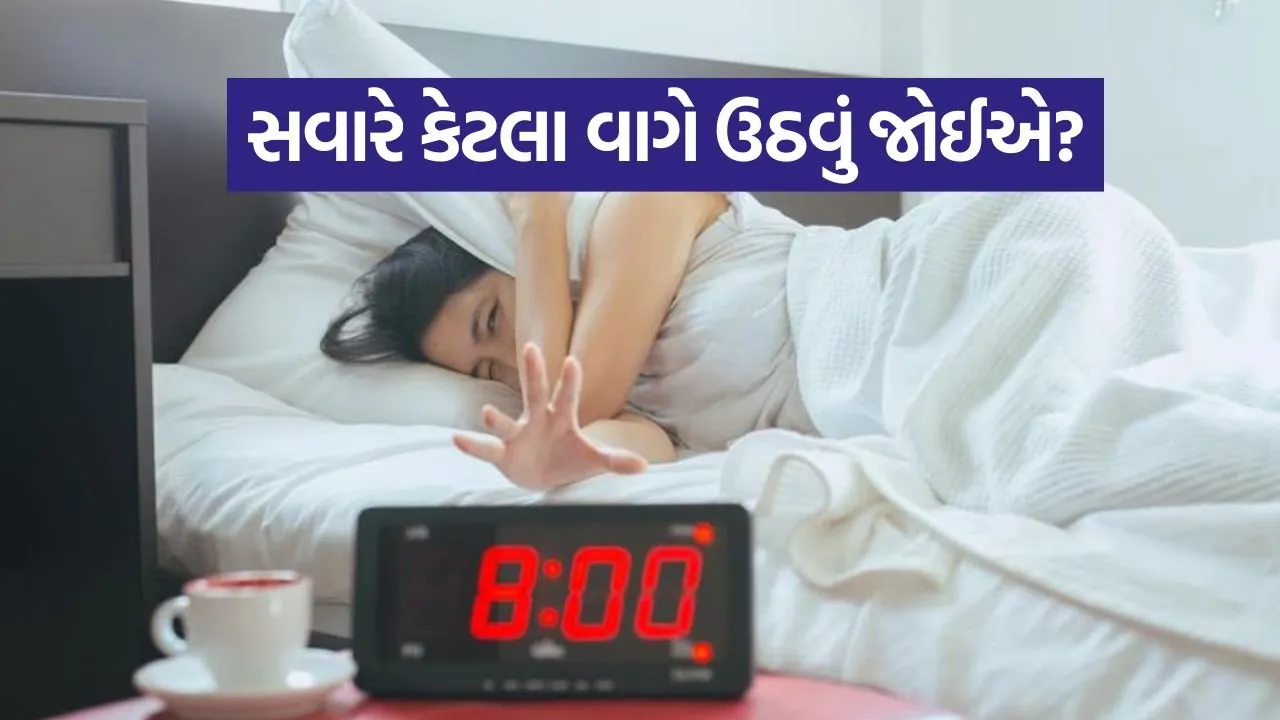 Sleep 0805.jpg