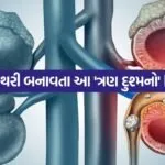 Kidney 0805