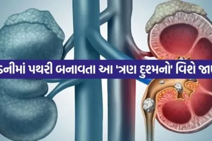 Kidney 0805