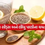 lemon chiya seeds 1005