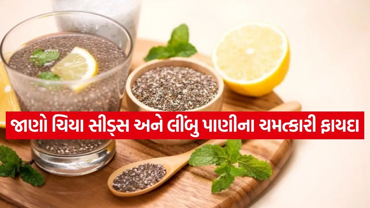 lemon chiya seeds 1005.jpg