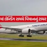 turkish airline 1005