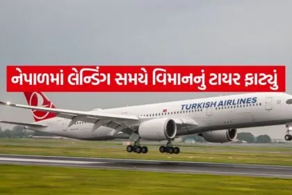 turkish airline 1005