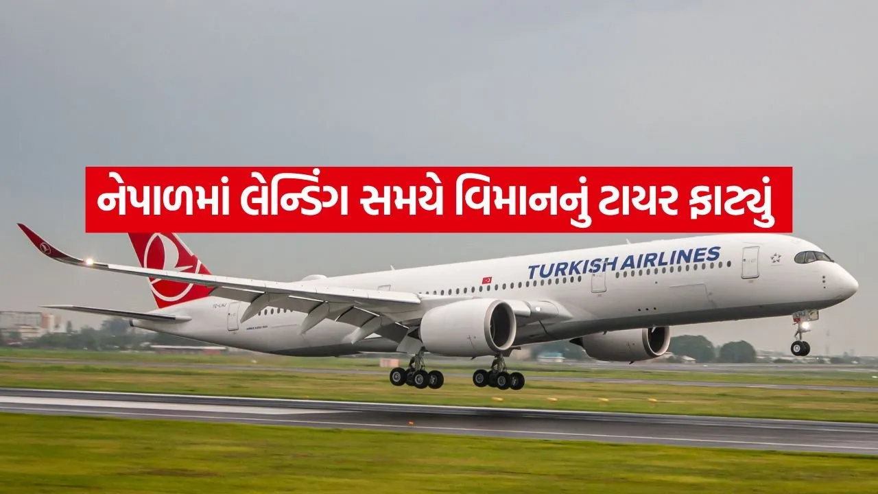 turkish airline 1005.jpg