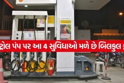 Petrol Pump 1005