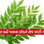 INDIA 1 2026 05 11T110133.843