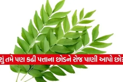 INDIA 1 2026 05 11T110133.843